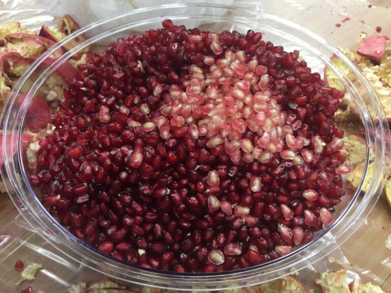 Pomegranate-1